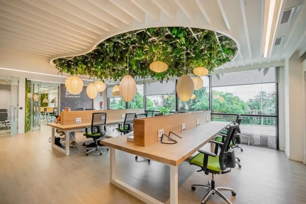 Our Space