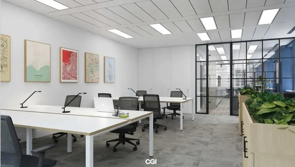 Workplace Plus 115 Park Street