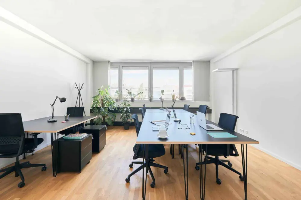 Scaling Spaces - Kustermannpark
