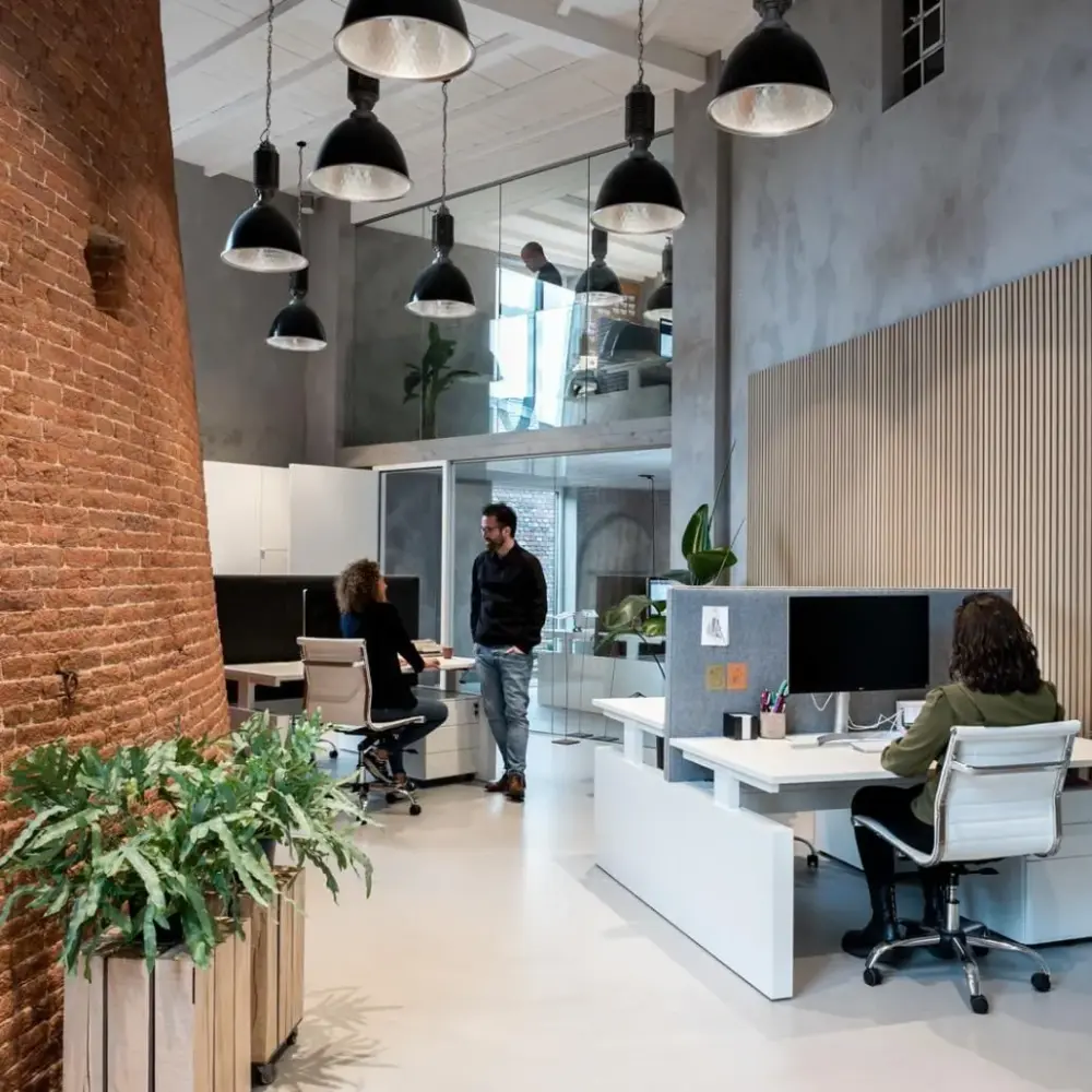 Studio Zeldenrust