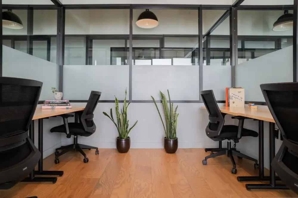 WeWork Artz Pedregal