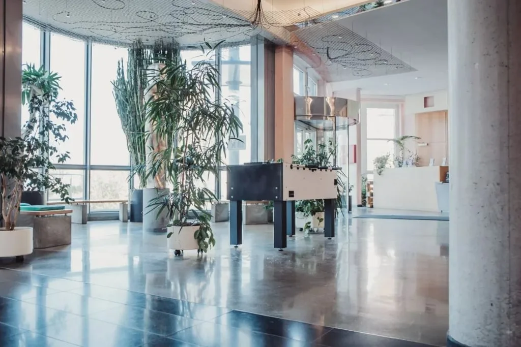 Witeno, Reception, Greifswald