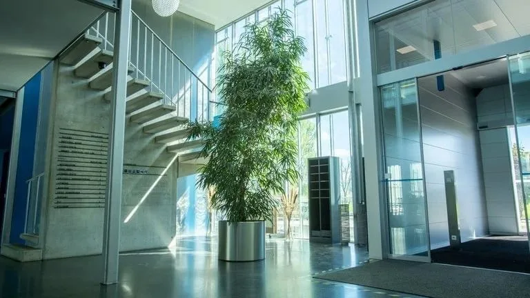 WorkFwd Coworking in Widnau, Empfang, Widnau