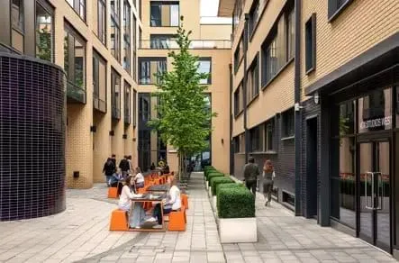 Workspace - 55 Bendon Valley, Terrace and outdoor space, Putney