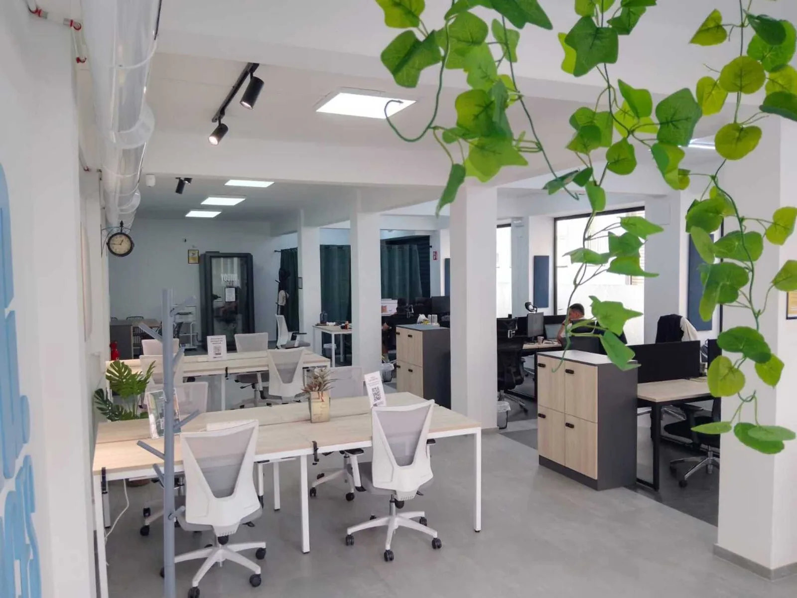 Young Workspaces Cabanyal, Open-plan office, Valencia
